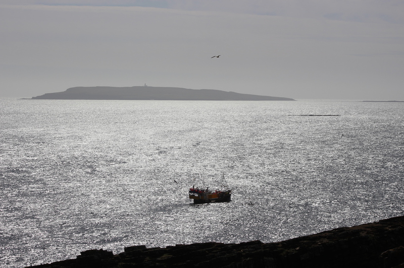 sea silver